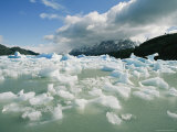 Chunks of Ice Cover the Frozen Surface of Lago Grey Photographie