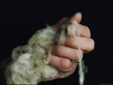 Hand Clutching Spun Wool Photographic Print