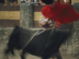 Panned View of a Bullfight Photographie