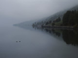 Two Ducks Sit on a Calm Lake in the Fog Photographie