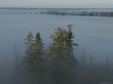 A Heavy Fog Settles Across a Valley in the Olympic Mountains Photographic Print by Sam Abell