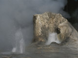 Giant Geyser, Yellowstone National Park Photographic Print