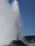 Lion Geyser, Yellowstone National Park Photographic Print