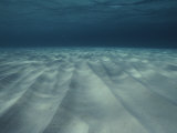 Current-sculpted ripples in the sandy sea floor off of Grand Cayman Lámina fotográfica Current-sculpted ripples in the sandy sea floor off of Grand Cayman Lámina fotográfica