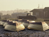 Rows of Upturned Wooden Rowboats on Chincoteague Island Fotografie-Druck von Medford Taylor