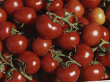 Tomatoes at a Market in Provence Photographie