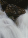 Water Flows over a Rock in Lone Pine Creek Photographic Print by Marc Moritsch
