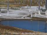 Opalescent Pool, Black Sand Basin, Yellowstone National Park Photographic Print by Norbert Rosing