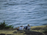 A Couple Sits on a Shore Observing Killer Whales Swimming Offshore Photographic Print