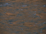 A View of the Colorado River Looking Choppy Photographie