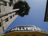 A tour bus sign and a palm tree scream out Hollywood Lámina fotográfica