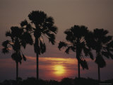 Sunset on Shire River Photographie