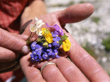 Close View of Mountain Wildflowers Picked in the Karakorum Mountains Photographic Print by Jimmy Chin