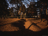 View of the Floor of the Crater at Petersburg Photographic Print by Sam Abell