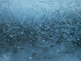 A Close View of Ice Crystals in Newly-Formed Sea Ice Photographic Print by Gordon Wiltsie