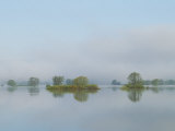 Flooded Meadows in Spring, Unteres Odertal National Park, Germany Photographie
