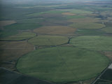 Aerial View of Crop Fields Planted in Circular Patterns Photographic Print by Sam Abell