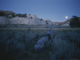 Landscape Shot of Grasslands, with White Cliffs in the Background Photographic Print by Sam Abell