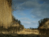 Reflection of a Blue Sky in a Stream Bordered by Grasses Photographic Print by Mattias Klum