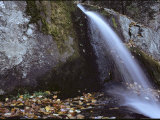 Crabtree Falls, Virginia Photographic Print by Medford Taylor
