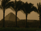 Palm trees frame a view of the Step Pyramid of Djoser Lámina fotográfica Palm trees frame a view of the Step Pyramid of Djoser Lámina fotográfica