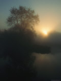Sunrise over the wetland in the Oder River marsh, Photographic Print