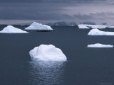 Icebergs off the Coast of the Antarctic Peninsula Near Hope Bay Photographic Print