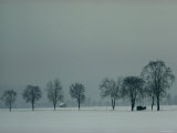 Rural Scenic in Snow, Bavaria, Germany Photographic Print