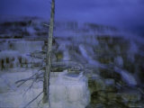 Twilight Winter View of Mammoth Hot Springs Photographic Print