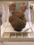 Two Researchers Observe a Mummy Bundle in a Humidification Chamber Photographic Print