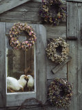 Dried Flower Wreaths Adorn a Wooden Wall Near a Window with Doves Photographic Print