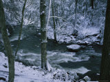 A Creek Rushes by in a Snow-Covered Forest Photographie
