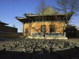 Indigenous Architecture with a Flock of Pigeons in Front Photographie