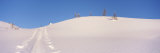 Ski Tracks in Purcell Mountains, British Columbia, Canada Photographic Print by Bill Hatcher