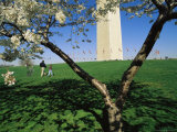 Tourists and Blooming Cherry Trees at the Washington Monument Photographic Print