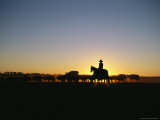 A Silhouetted Australian Cattle Rancher at Twilight Photographic Print by Medford Taylor