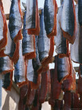 Salmon Filets Hanging to Dry Photographic Print