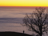 Sunset over Pacific, Oak Tree and Person Silhouetted Photographic Print