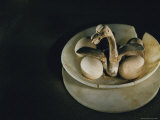 Wooden Goose on Alabaster Nest from Tutankhamuns Tomb Photographic Print