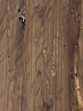 Escalador en la grieta Concepción de Moab, Utah Lámina fotográfica