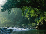 Fluss durch den Northern Sierra Madre Regenwald-Naturpark Fotografie-Druck von Tim Laman