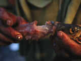 Fast Food, Smokejumper Style- Pull it from the River and Eat Photographic Print