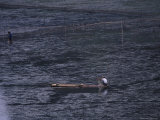 Fishing for Shrimp and Fish from Bamboo Raft, Lake Pingxiang Photographic Print