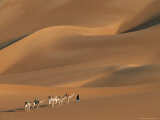 A Tuareg Tribesman Leads His Camels Through the Dunes of the Sahara Photographic Print by Carsten Peter