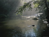 Morning Mist Lifts off the Tellico River Photographie