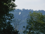 A Great Egret Prepares to Land on its Nest on Wade Island Photographic Print