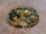 This Golden Ornament Found in the Moche Tomb was a Sign of the Elite Photographic Print by Kenneth Garrett