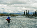 Man Carrying Backpack Crosses River in Denali National Park Photographie