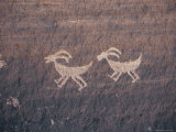 Indian Petroglyphs Depicting Bighorn Sheep Photographic Print