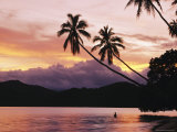 Palms, Trees, and Bather Silhouetted at Sunrise Photographie